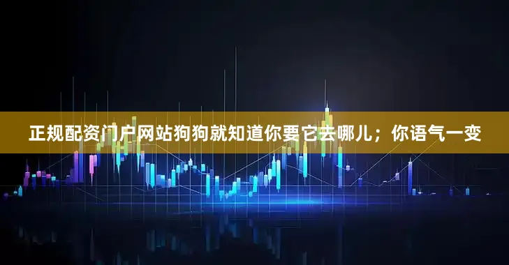 正规配资门户网站狗狗就知道你要它去哪儿；你语气一变