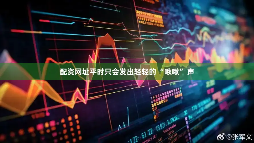 配资网址平时只会发出轻轻的 “啾啾” 声
