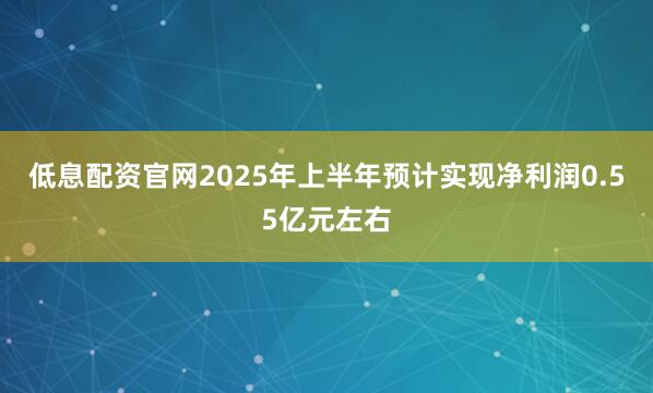 低息配资官网2025年上半年预计实现净利润0.55亿元左右