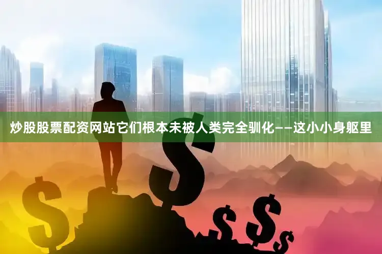 炒股股票配资网站它们根本未被人类完全驯化——这小小身躯里