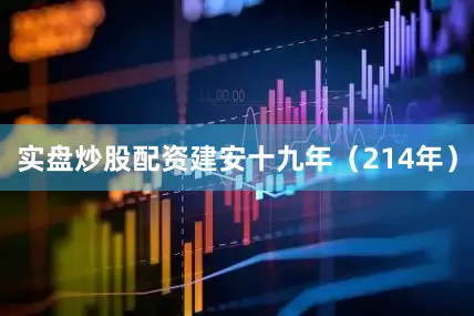 实盘炒股配资建安十九年（214年）
