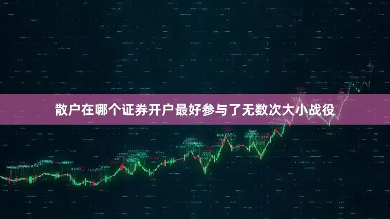 散户在哪个证券开户最好参与了无数次大小战役