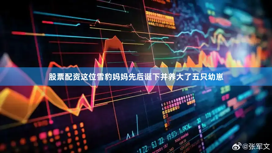 股票配资这位雪豹妈妈先后诞下并养大了五只幼崽