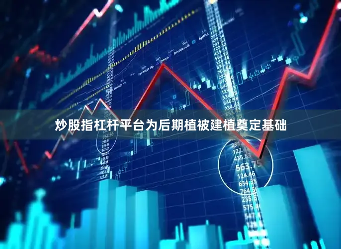 炒股指杠杆平台为后期植被建植奠定基础