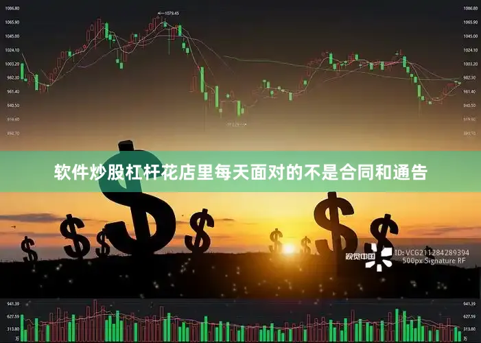 软件炒股杠杆花店里每天面对的不是合同和通告